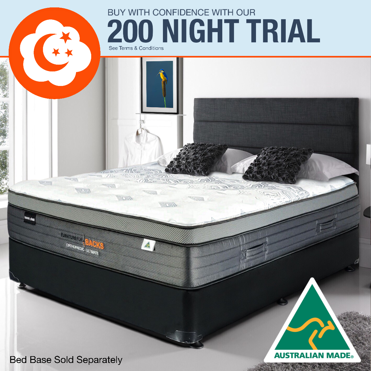 Orthopaedic Ultimate Furniture For Backs